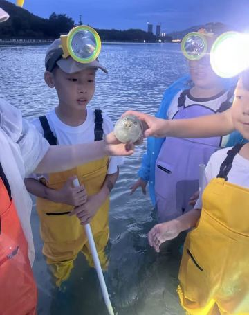 【陵水紅樹林趕海】原生態趕海 本地專業領隊帶隊保證安全 提供工具趕海服 收穫帶走