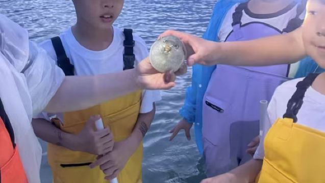 【陵水紅樹林趕海】原生態趕海 本地專業領隊帶隊保證安全 提供工具趕海服 收穫帶走