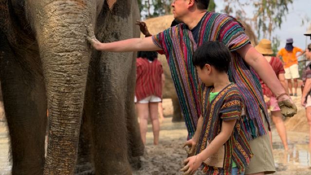 [Pattaya] Santuario degli Elefanti EJS | Pittura di fango sugli elefanti + bagno e alimentazione + creazione di carta di sterco + preparazione di polpette di riso (trasporto gratuito dall'hotel + pasti gratuiti)