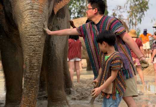 [Pattaya] EJS Elephant Jungle Sanctuary | Mud Bath for Elephants + Bathing & Feeding + Making Elephant Dung Paper + Cooking Rice Balls (Free Hotel...