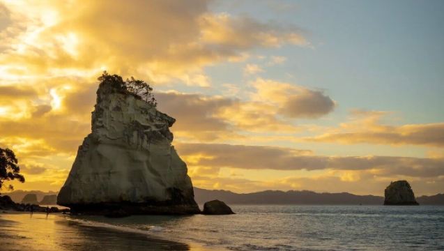 紐西蘭奧克蘭來回：教堂灣+科羅曼德雨林+駕駛溪小火車定制遊
