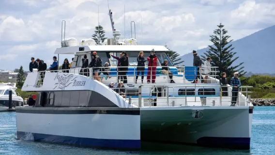Quick ticket issue go whale watching Sydney 3 hr whale watching cruise