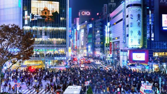Shibuya shop - 30-minuten Go-Kart ervaring internationaal rijbewijs vereist 