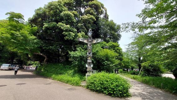 Lawatan sehari di Tokyo Jepun + Tokyo Skytree + Ueno Park + Kuil Asakusa kawasan bandar [Sewaan peribadi dalam bahasa Cina dengan pengangkutan dari rumah]