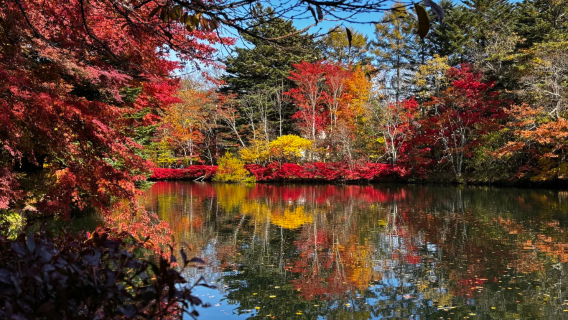[Penghantaran Tersedia · Kumpulan 9 Orang] Lawatan sehari Tokyo Karuizawa: Air Terjun Shiraito + Kawasan Peranginan Hoshino