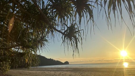 Mackay: Wallabies on the Beach Sunrise Trip