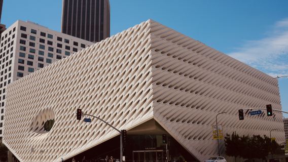 [US] The Broad in Los Angeles 1.5-hr contemporary art guided tour
