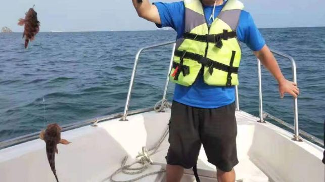 【純玩無二次收費】深圳東山碼頭深圳快艇包船海釣+觀光+上島三不誤漁獲可帶走提供全套釣魚裝備老船長帶你玩