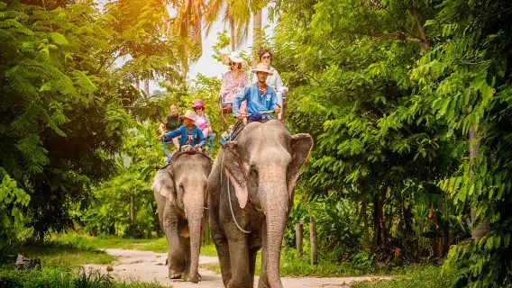 泰國芭達雅真理寺＋芭堤雅大象村一日遊