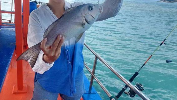 Tour di un giorno di pesca a Koh Samui con trasferimento dall'hotel|guida|frutta|Pranzo|Attrezzatura da pesca ed esche