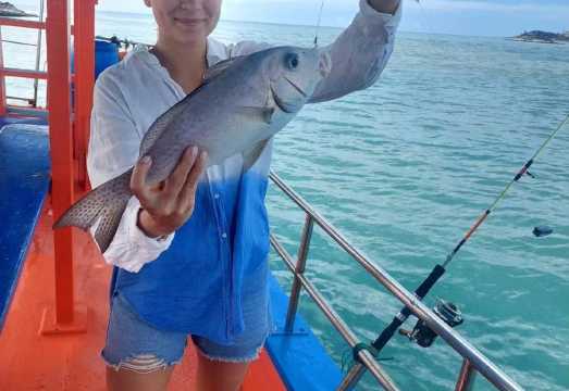 Koh Samui Fishing Day Tour with Hotel Pick-up & Drop-off|guide|Fruit|Lunch|Fishing gear and bait