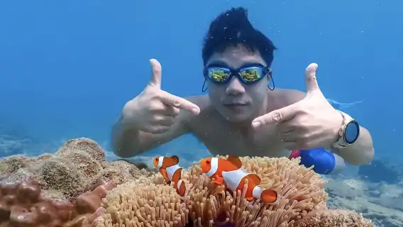 從曼谷出發：尼莫島體驗（含空拍照片及海濱餐廳午餐）