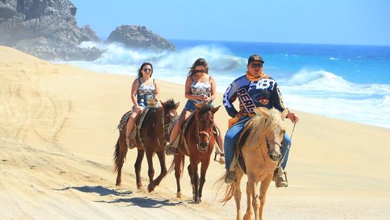 Los CabosTours