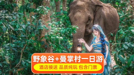西雙版納日遊