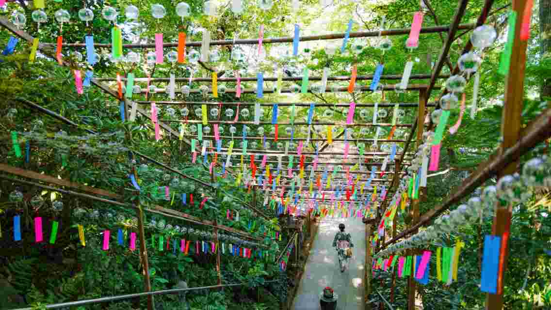 one-day tour to Dazaifu Tenmangu Shrine, Yufuin Street, Kinrin Lake, and Seikageyama Ruyirin Temple in Fukuoka, Japan