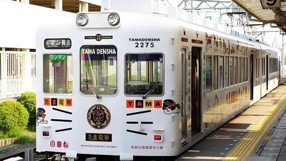 日本大阪和歌山城+黑潮市場+紀三井寺+貴志（和歌山）一日遊