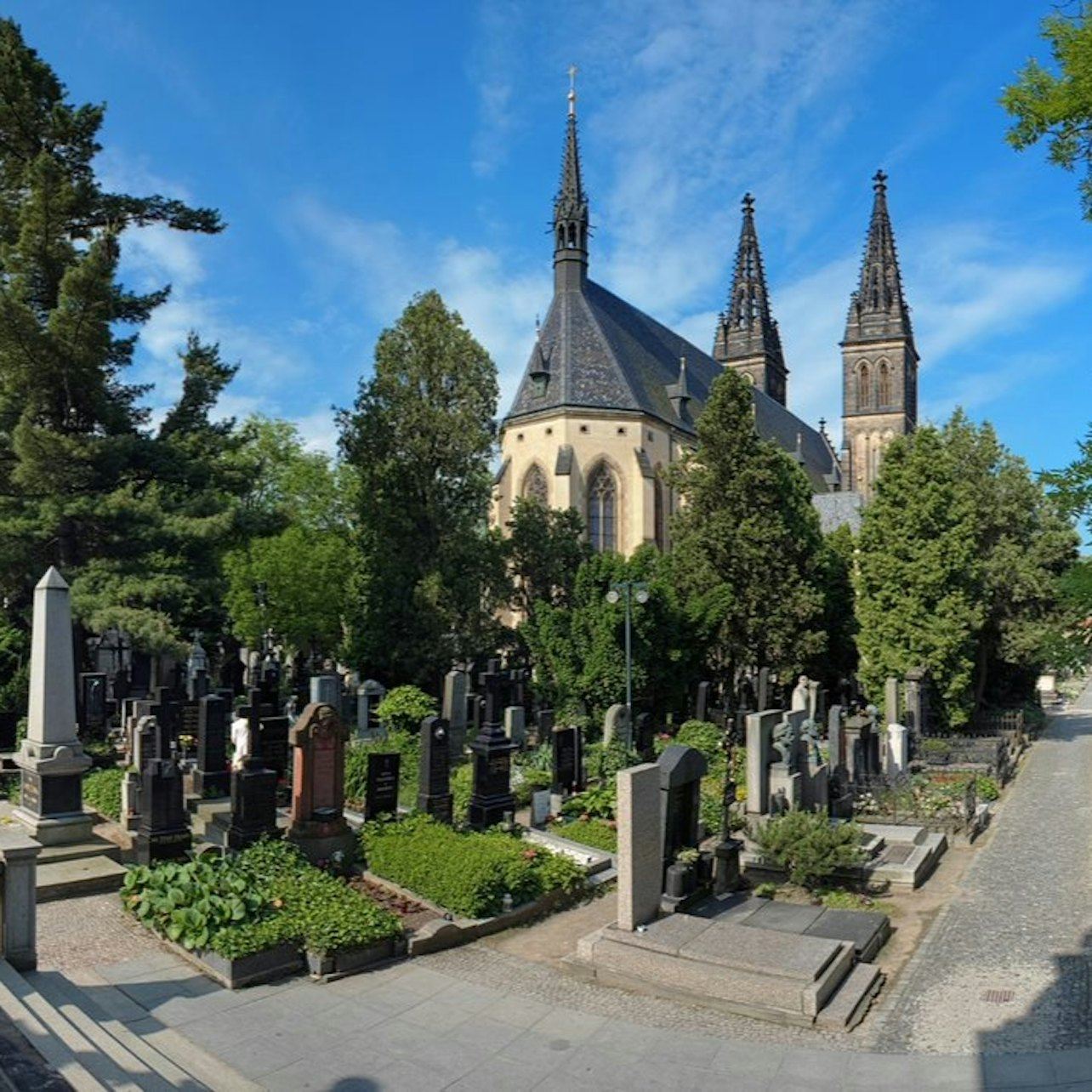 Vyšehrad Castle Entry and Guided Tour