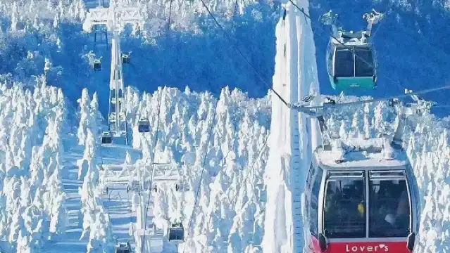 日本札幌來回室蘭地球岬-可札幌登別富良野美瑛北海道包車-精選