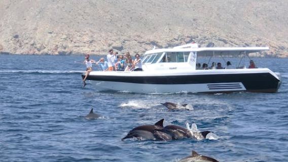 Dolphin Watching Tour in Salalah