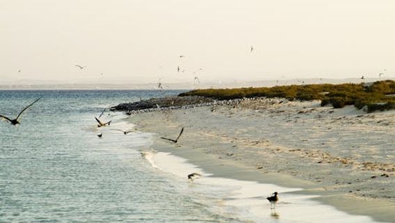 Marsa AlamExperiences