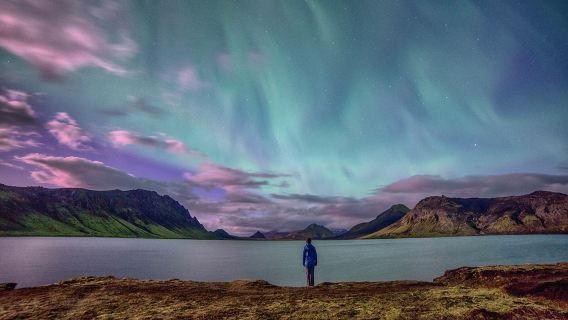 4-hour northern lights viewing experience in Iceland with optional small group tours and daily departures, including city transfers