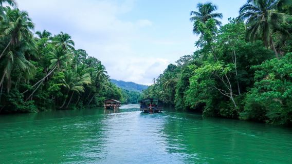 Bohol Countryside Day Tour All In Package