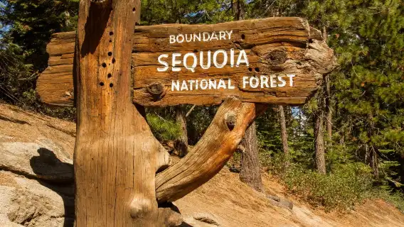Sequoia and Kings Canyon National Park self-guided driving audio tour