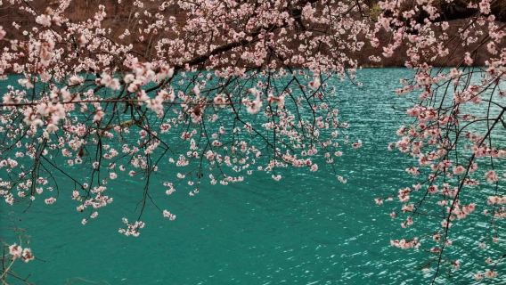 Trasferimento condiviso in autobus/auto dalla stazione ferroviaria di Huanglongjiuzhai al Parco nazionale di Jiuzhaigou