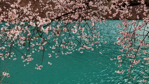 Aba Prefecture