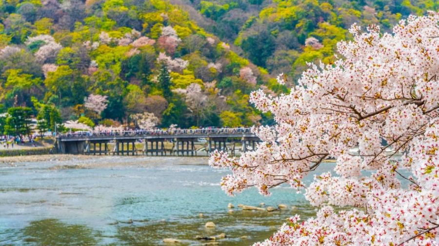 【京都嵐山&勝尾寺網紅美景打卡】一日遊