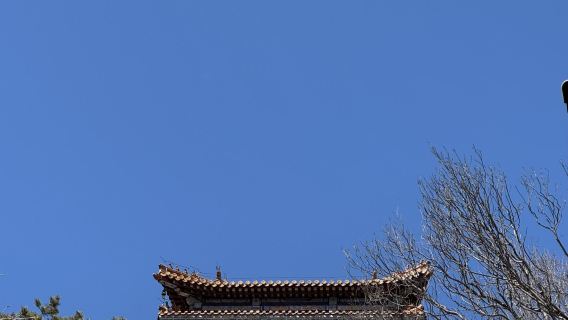 ทัวร์วันเดียว/ทัวร์หลายวัน ไท่อันเป่าไท่หลง + พระราชวังมังกรใต้ดิน + สถานที่ท่องเที่ยว ไท่ซานซื่อกันตัง + ถนนโบราณ - มีบริการภาษาอังกฤษ