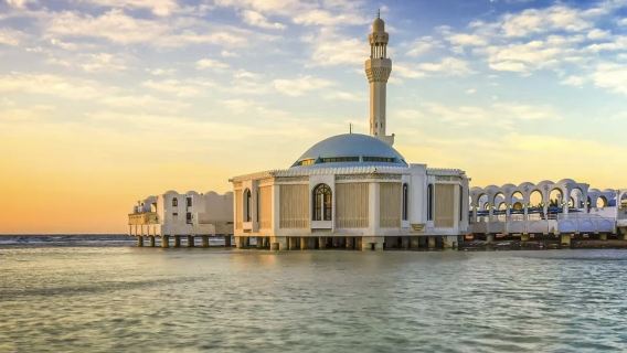 Saudi Arabia Al Ula: Elephant Rock (Jabal AlFil ) + Hegra + Maraya Concert Hall + Old Town Chinese private charter