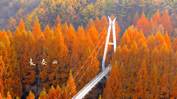 Autumn maple viewing and Hanbok experience|Jeonju Hanok Village x Jangtaesan Fall Foliage Viewing | Depart from Seoul