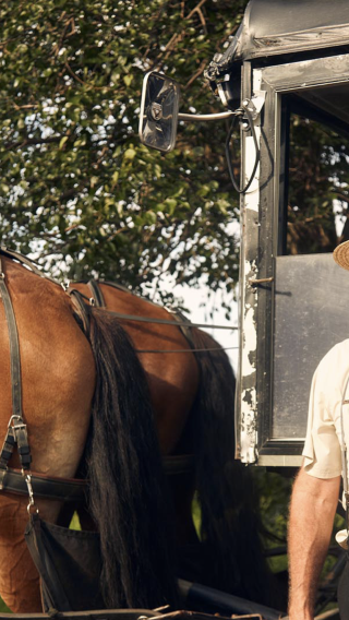 PHILADELPHIA FULL DAY TOUR (include AMISH COUNTY)