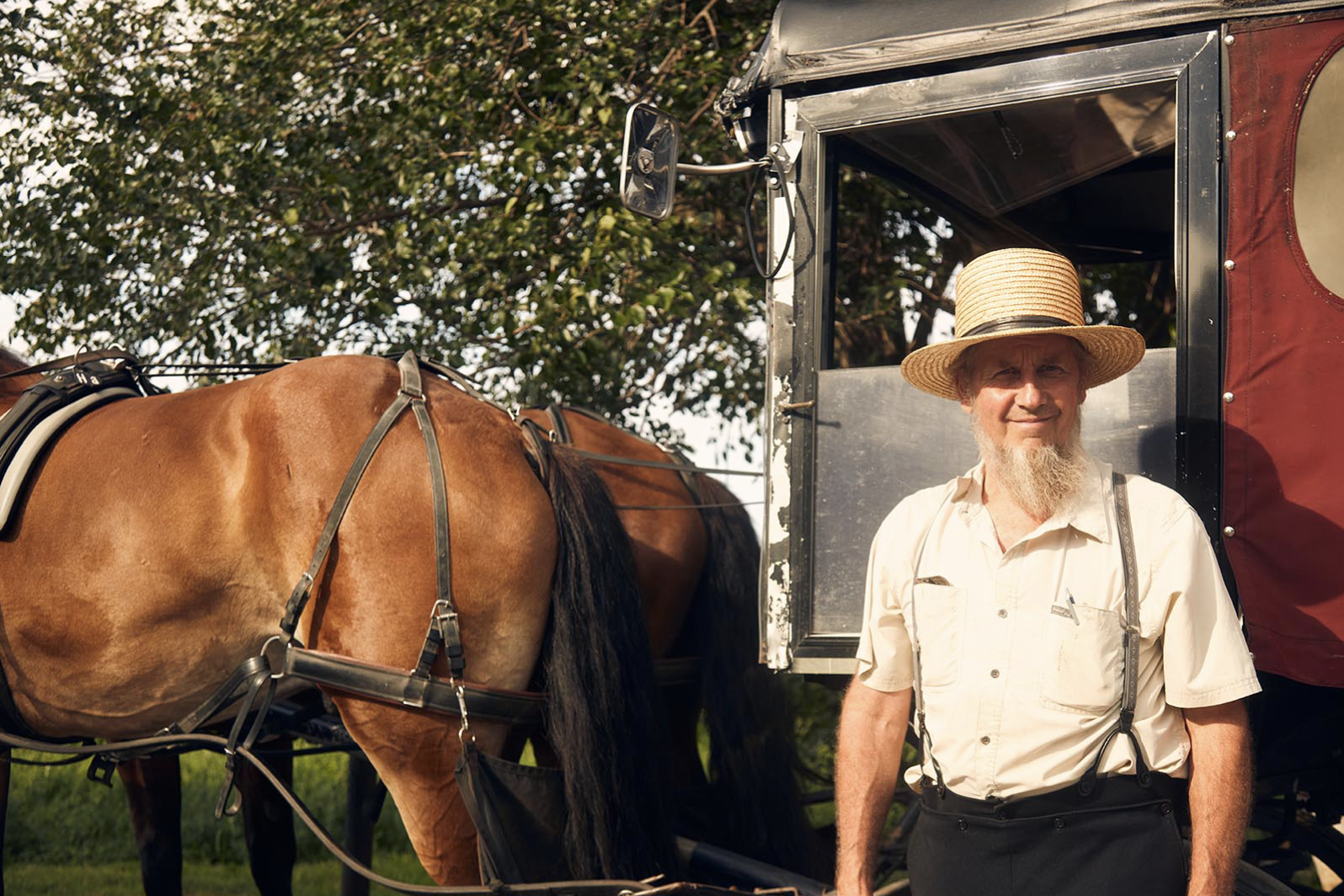 TOUR GIORNALIERO COMPLETO DI FILADELFIA E DELLA CONtea AMISH