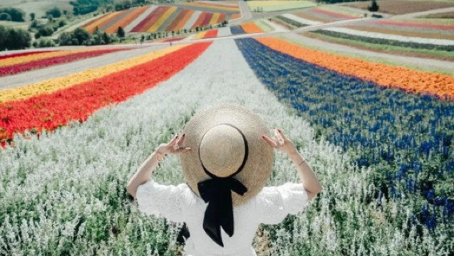 Dagstur till Furano, Shirogane Blå damm och Shirahige-vattenfallet i Hokkaido med valfri present av melonglass