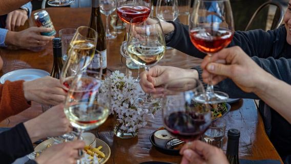 Boutique Winery Half-Day Tour & Vineyard Platter-Style Lunch