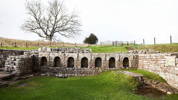 Hadrian's Wall: Chesters Roman Fort and Museum Entry Ticket
