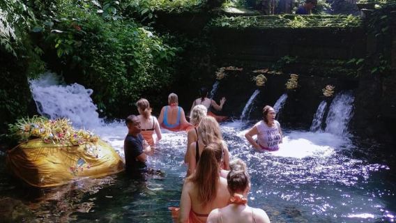 Ubud: Tour al Templo del Agua Mangening con Limpieza Espiritual