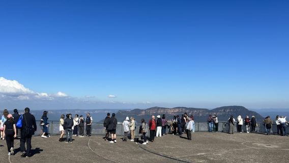 Tour delle Blue Mountains con pranzo: Scenic World, Zoo e foto dei koala