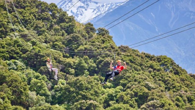 Kaikōura: Zipline and Native Forest Adventure Trip