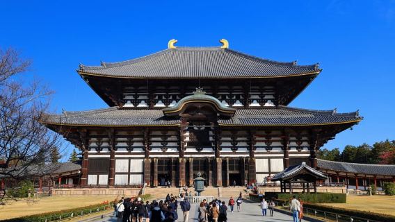 Kioto: Recorrido histórico en autobús por Nara y Kioto