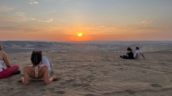 From Ica or Huacachina: Fly over the Nazca Lines and Huacachina by buggy.