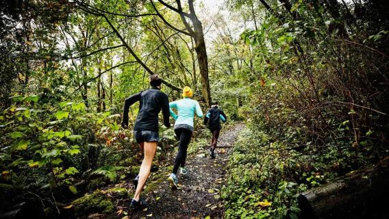 Guided Sunrise Adventure Trail Run Table Mountain, Cape Town