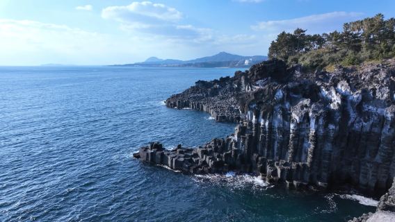 濟州島西南線/小羊肖恩+山茶花之丘+追海豚+狹才海水浴場/市區接送