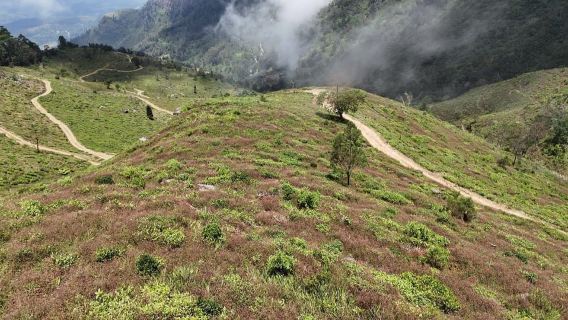 Ohiya: Caminata guiada por la Escalera del Diablo hasta Kalupahana