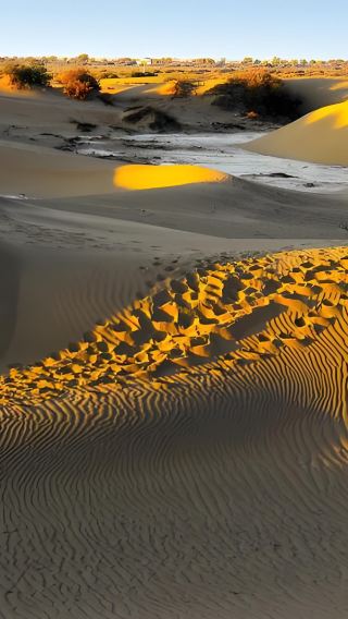 Turpan Departure - Thousand Buddha Caves, Mazha Village, Kumtag Desert & Tuyugou Private Day Tour