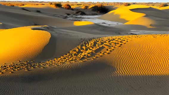 Private Tagestour ab Turpan: Wanfo-Palast, Dorf Mazar, Kumtag-Wüste und Tuyugou