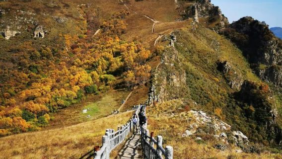 北靈山純玩1日遊【北京版阿勒泰+首都後花園+空中草原】