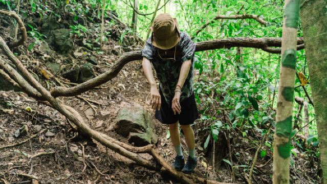 西雙版納基諾山雨林徒步一日遊巴士來回【探秘獨樹成林+雨林餐】